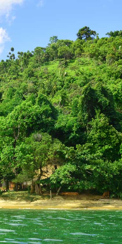 Dounia Forest Lodge, Nosy Boraha | Timbuktu Travel