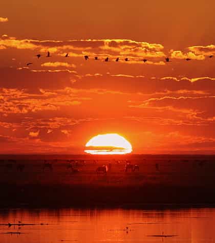 Liuwa Plain Safari, Liuwa Plain | Timbuktu Travel