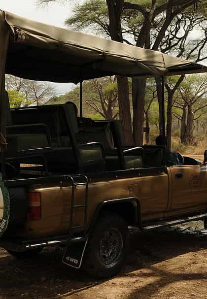 Tandala Safari Camp, Ruaha | Timbuktu Travel