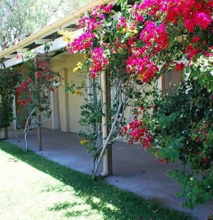 Okaputa Guest Farm, Otjiwarongo | Timbuktu Travel