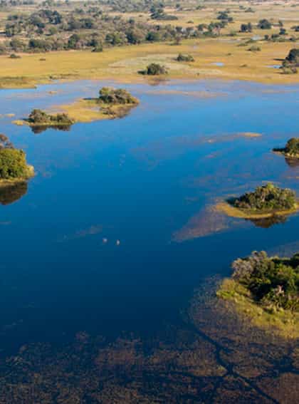 Endeavour Mobile Delta Safaris, Central Okavango | Timbuktu Travel