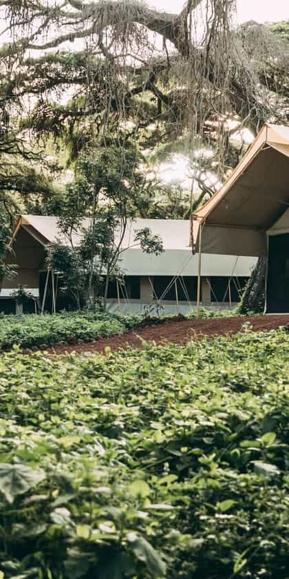 Ngorongoro Tortilis Camp, Ngorongoro Crater | Timbuktu Travel