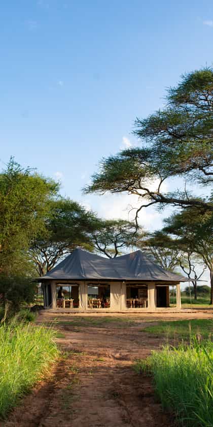 Lolkisale Camp, Tarangire | Timbuktu Travel