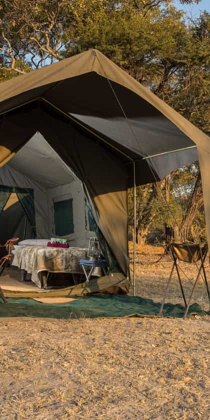 Letaka Tented Camp - Moremi, Moremi | Timbuktu Travel