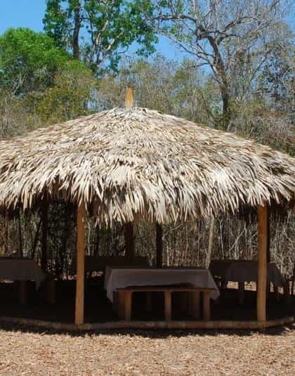 Camp Amoureux, Morondava and the Avenue of the Baobabs | Timbuktu Travel