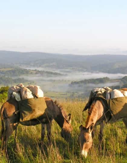 Oltyiani Trail, Masai Mara | Timbuktu Travel