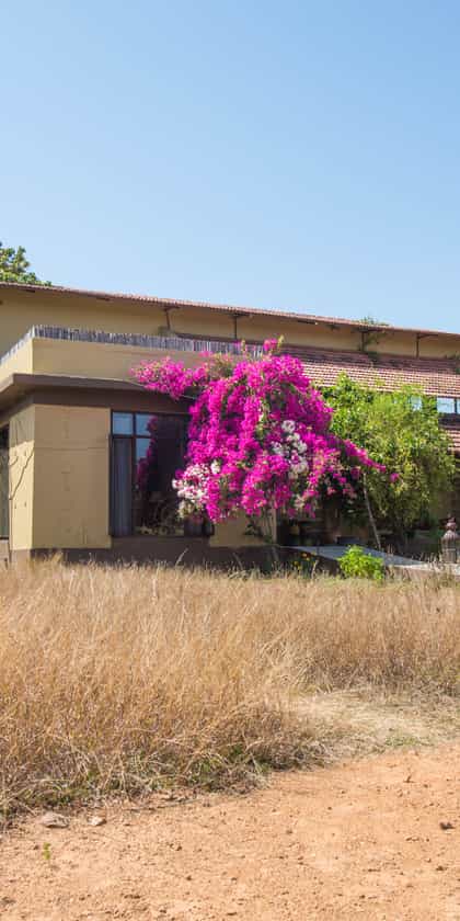 Forsyth Lodge, Satpura National Park | Timbuktu Travel