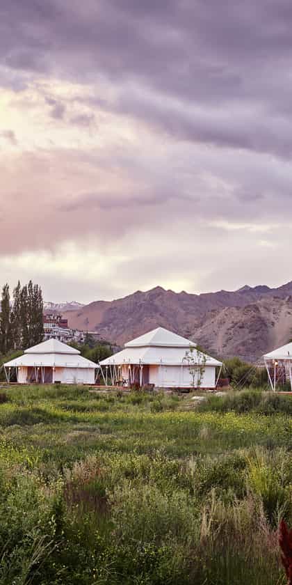 Chamba Camp Thiksey, Ladakh | Timbuktu Travel