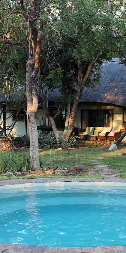 Simbavati Camp George, Klaserie | Timbuktu Travel