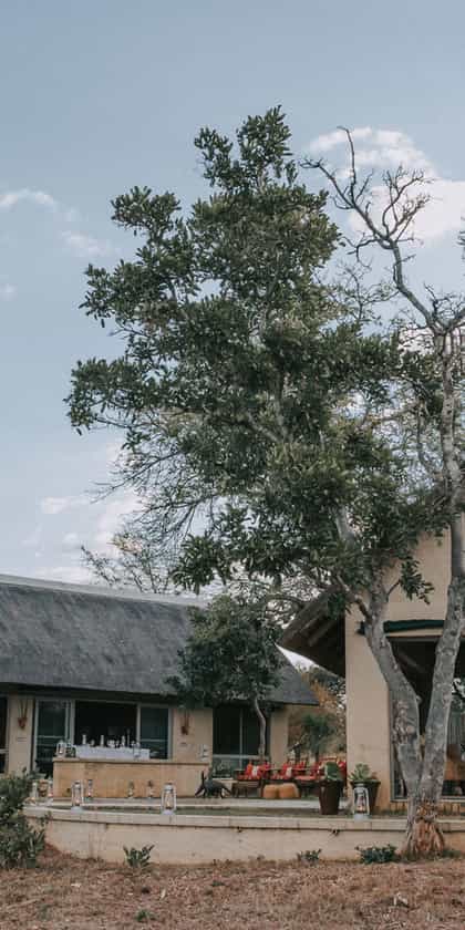Tanda Tula Nkarhi Homestead, Timbavati | Timbuktu Travel
