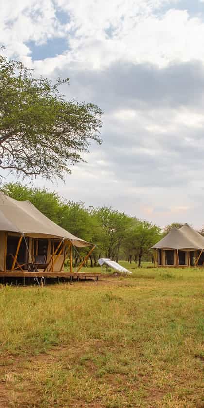 Cherero Camp, Serengeti | Timbuktu Travel