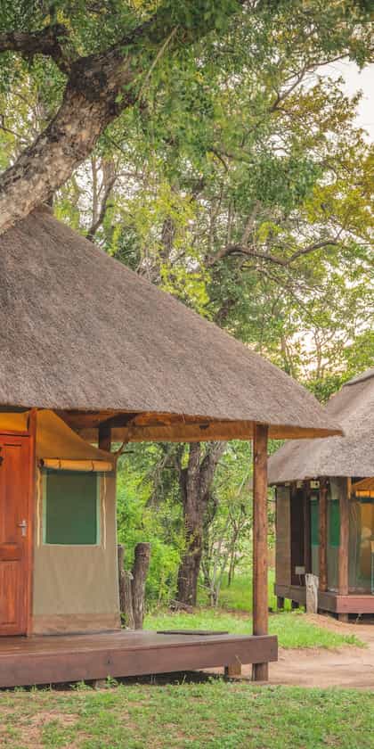 Shindzela Tented Safari Camp, Timbavati | Timbuktu Travel