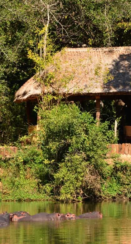 Mpopo Trails Camp, Niassa Reserve | Timbuktu Travel