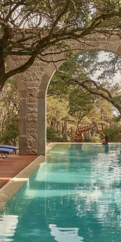  The Retreat at Giraffe Manor, Nairobi | Timbuktu Travel