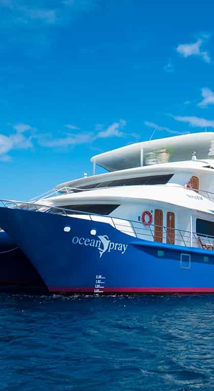 M/C Ocean Spray, Isla Santa Cruz | Timbuktu Travel