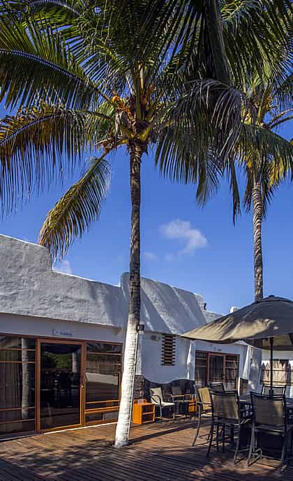 Isamar Hotel, Isla Isabela | Timbuktu Travel