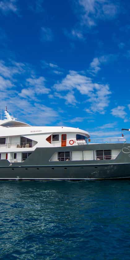 Infinity Galapagos, Isla Santa Cruz | Timbuktu Travel