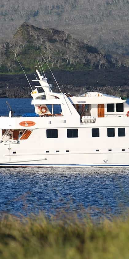 Yacht Anahi, Isla Santa Cruz | Timbuktu Travel
