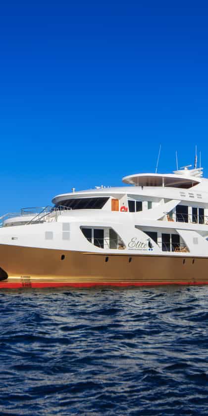 Elite Luxury Yacht, San Cristobal | Timbuktu Travel
