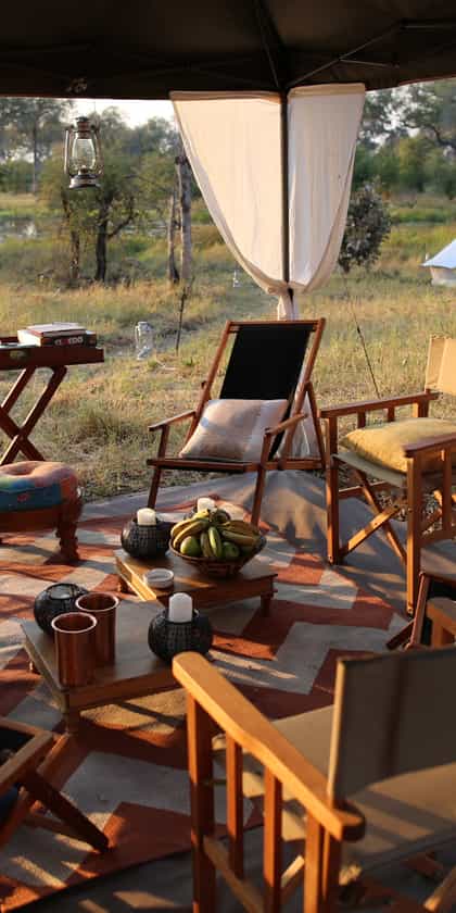 Feline Fields Vintage Camp, Khwai | Timbuktu Travel