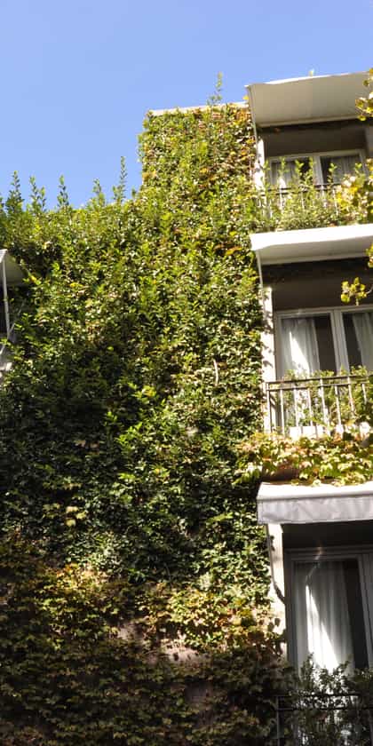 Legado Mitico Buenos Aires Hotel, Buenos Aires | Timbuktu Travel