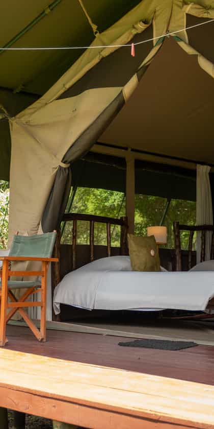 Porini Mara Camp, Masai Mara | Timbuktu Travel