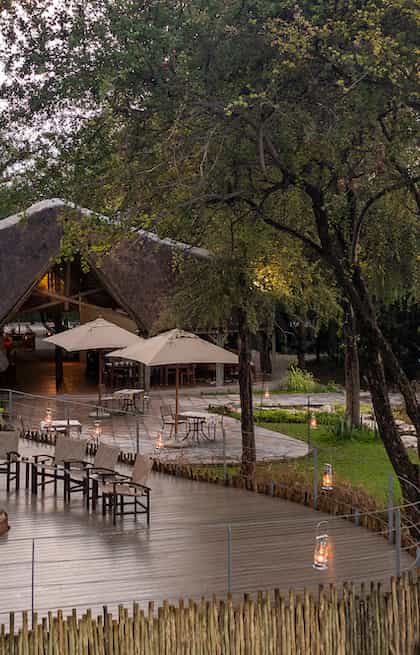 Onguma Forest Camp, Etosha | Timbuktu Travel