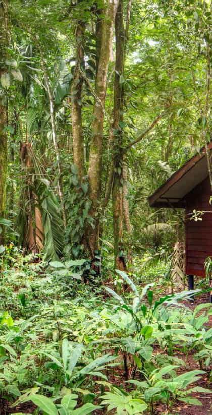 Evergreen Lodge, Tortuguero | Timbuktu Travel