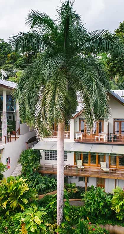 Hotel Si Como No, Manuel Antonio | Timbuktu Travel