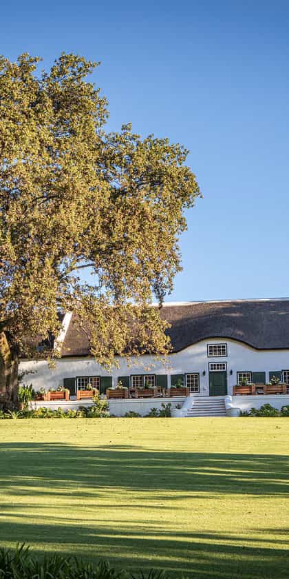 Taaibosch Manor House, Stellenbosch | Timbuktu Travel