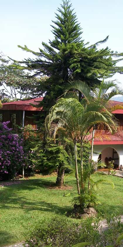 Rancho Naturalista, Turrialba | Timbuktu Travel