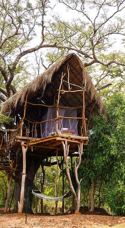 The Ibis Wilpattu, Wilpattu National Park | Timbuktu Travel