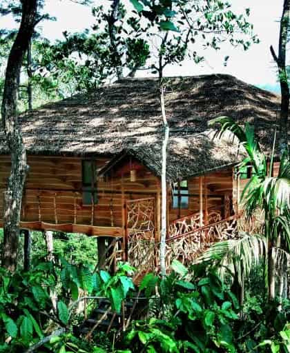 Tranquil Resort, Wayanad, Kerala | Timbuktu Travel