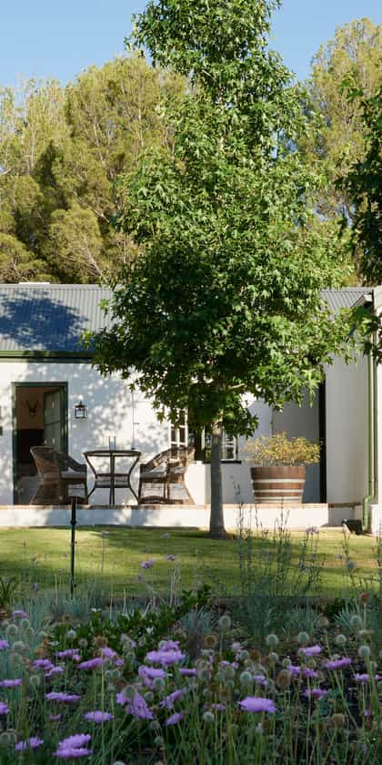 Boschendal - Werf Garden Suites, The Franschhoek Valley | Timbuktu Travel