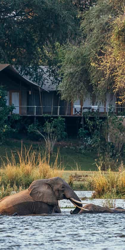 Dulini Anabezi , Lower Zambezi | Timbuktu Travel