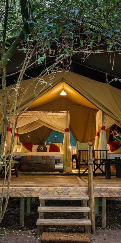 Mara Bush Camp, Masai Mara | Timbuktu Travel