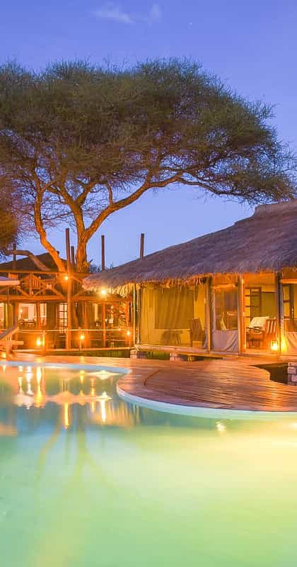 Tarangire Simba Lodge, Tarangire | Timbuktu Travel