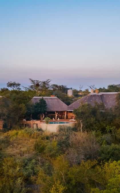 Geiger's Camp, Timbavati | Timbuktu Travel