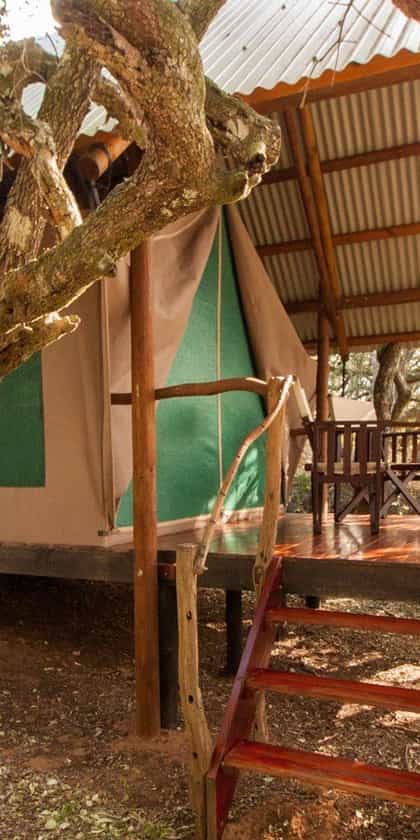Schotia Tented Camp, Eastern Cape | Timbuktu Travel