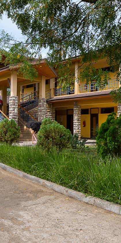Lake Bogoria Spa and Resort , Baringo County | Timbuktu Travel