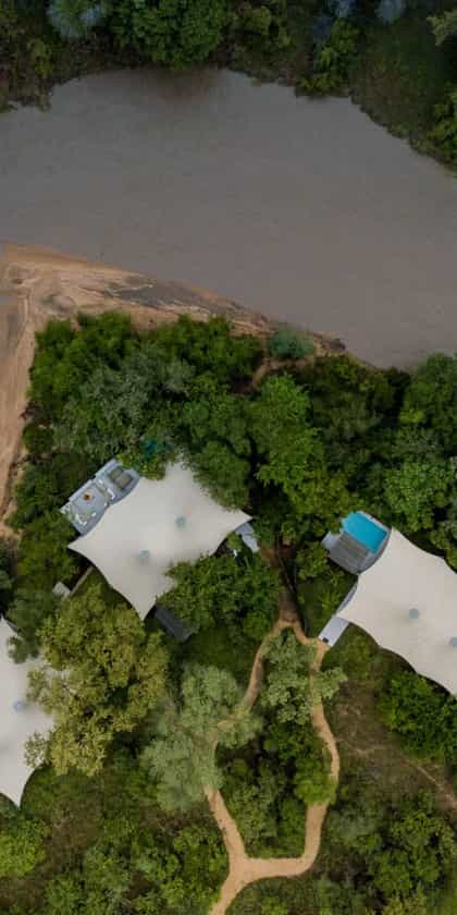 Little Saseka , Thornybush | Timbuktu Travel