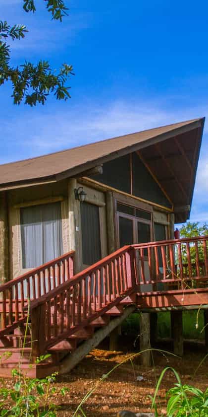 Elephant Rock Luxury Camp, Tarangire | Timbuktu Travel