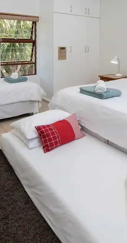 African Perfection - Aloe Again, Eastern Cape | Timbuktu Travel