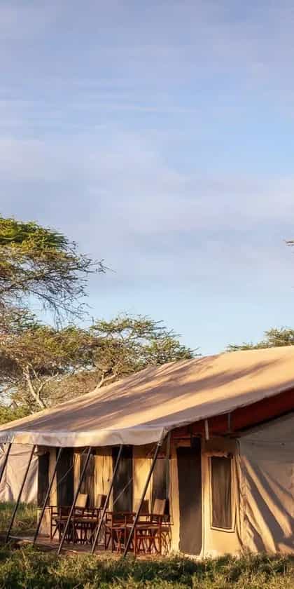 Gnu Mara Camp, Northern Serengeti National Park | Timbuktu Travel