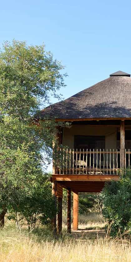 nThambo Tree Camp, Klaserie | Timbuktu Travel