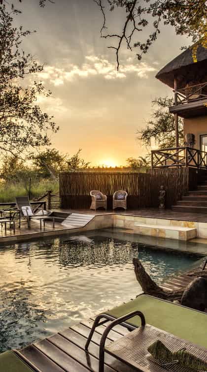 Naledi Bush Lodge, Balule | Timbuktu Travel