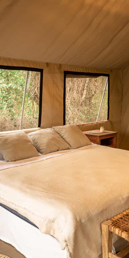 Glamping Los Palmares, Cafayate | Timbuktu Travel