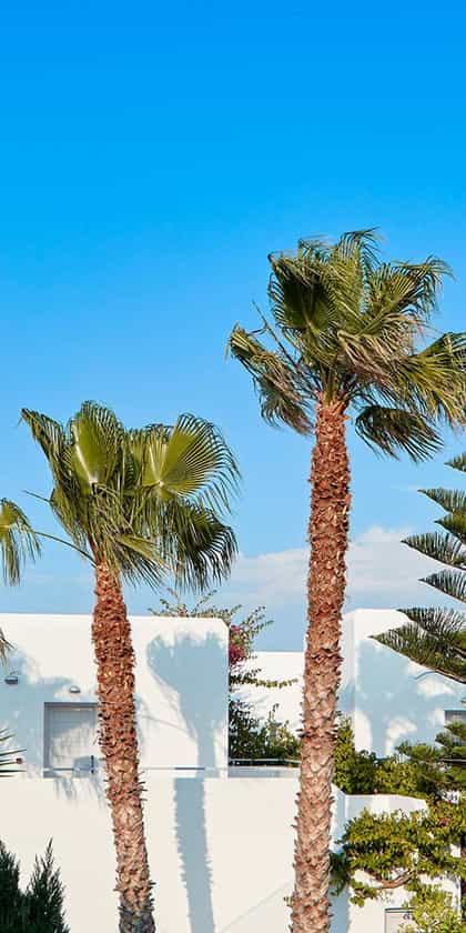 Mr & Mrs White New Style Hotel, Paros | Timbuktu Travel