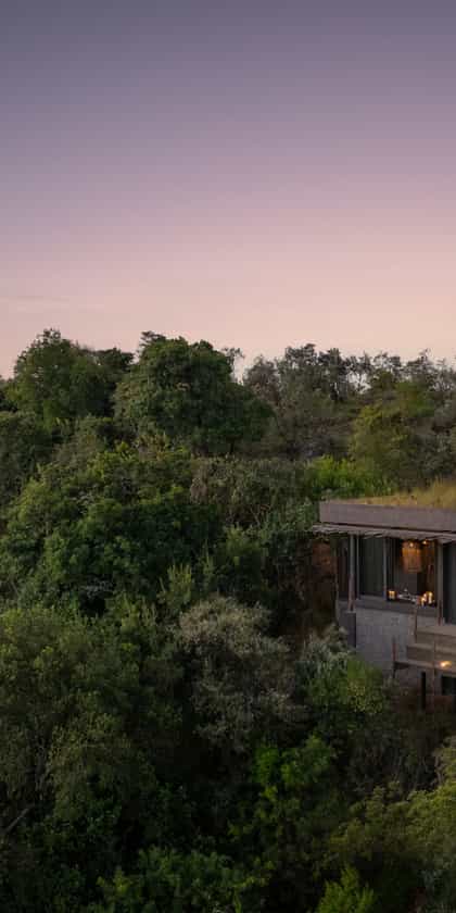 Wild Hill, Masai Mara | Timbuktu Travel