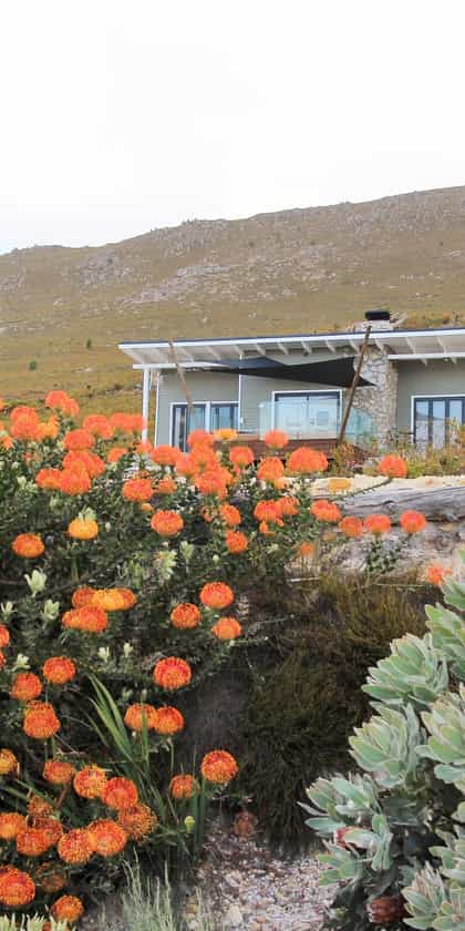 The Barber’s Trail Lodge, Hermanus | Timbuktu Travel